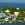 Lighthouse Hope Town Elbow Cay Bahamas