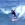 surfing bodyboarding elbow cay abaco
